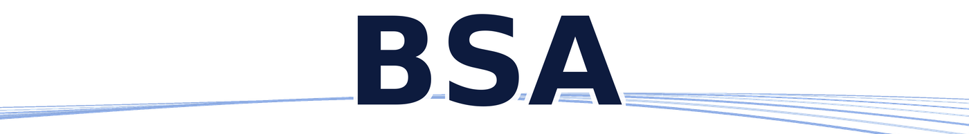 BSA — Bâtiment Services Amélioration